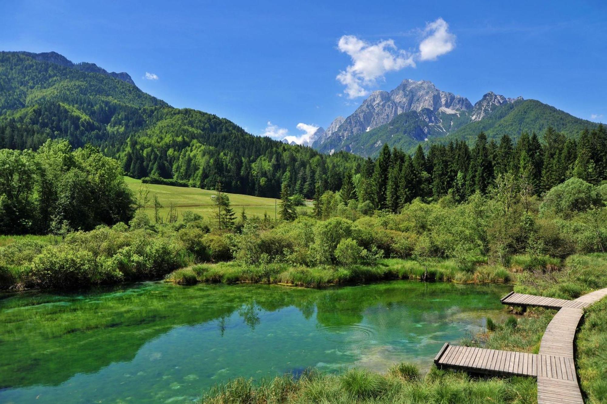 Alpine Retreat Gaja Kranjska Gora - Happy Rentals Eksteriør bilde